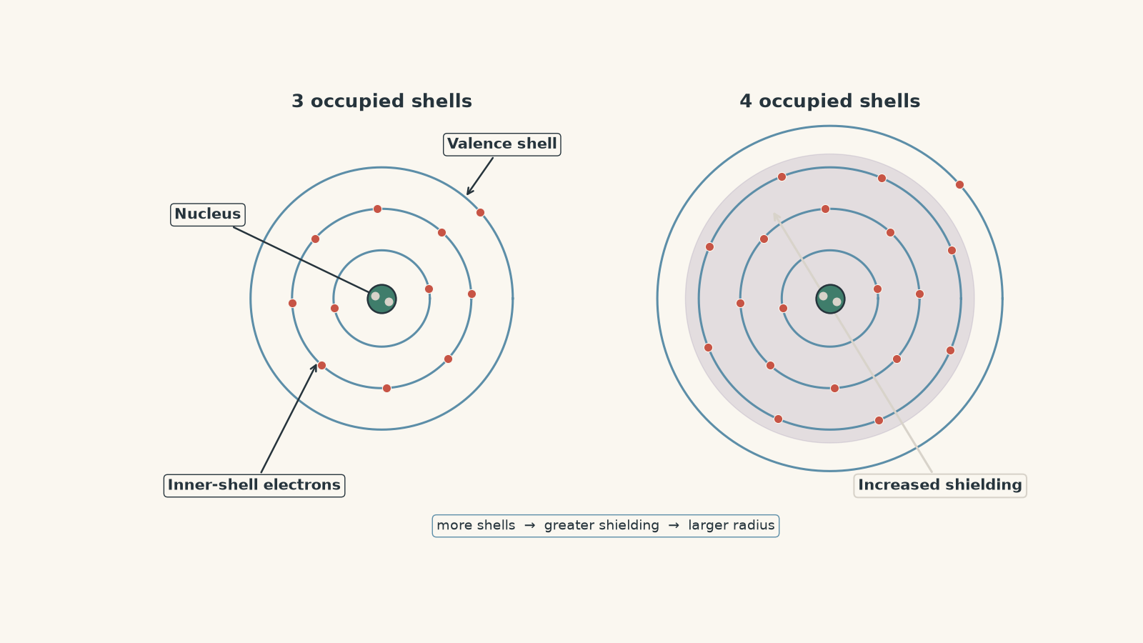Side-by-side Bohr-style diagrams comparing an atom with three occupied electron shells to one with four. The four-shell atom has an additional occupied inner shell and a shaded inner region indicating increased electron shielding between the nucleus and valence shell.