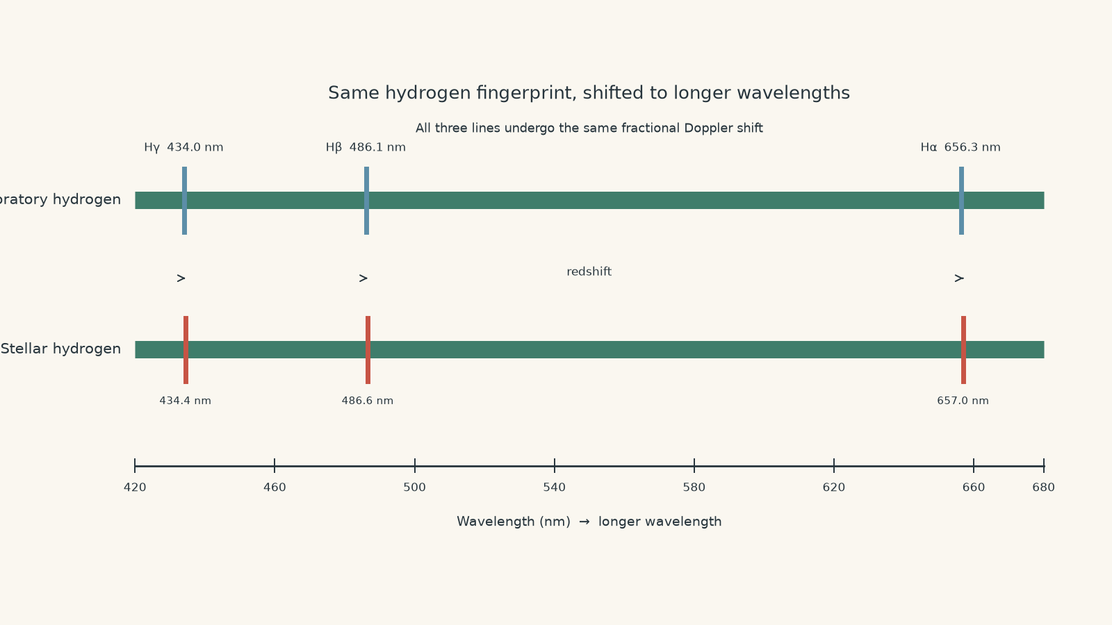 Laboratory and stellar hydrogen spectra on the same wavelength scale. The stellar hydrogen lines have the same pattern as the laboratory lines but are shifted slightly to longer wavelengths, showing a redshift.