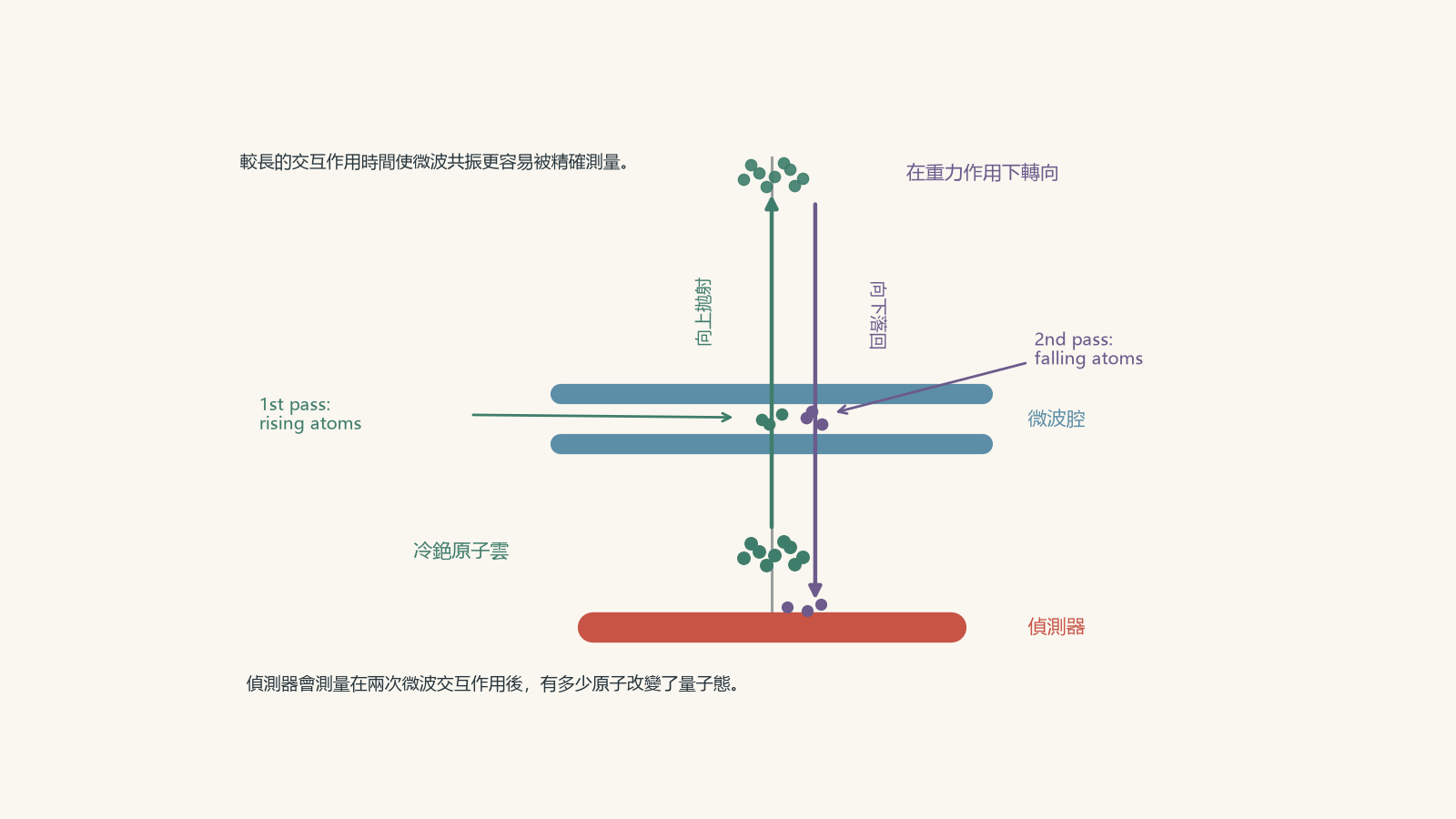 銫原子噴泉鐘示意圖，顯示冷銫原子向上拋射、穿過微波腔、在重力作用下轉向、再向下穿過微波腔，最後到達偵測器。