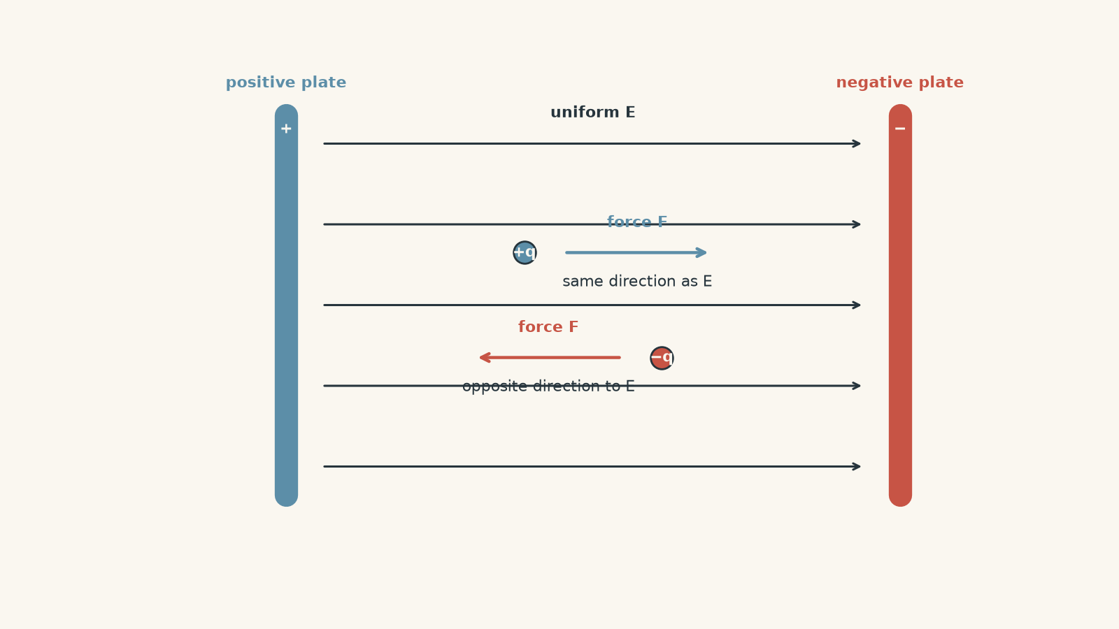 Parallel positive and negative plates create a uniform electric field directed from the positive plate to the negative plate. A positive test charge experiences force along the field, while a negative charge experiences force opposite the field.