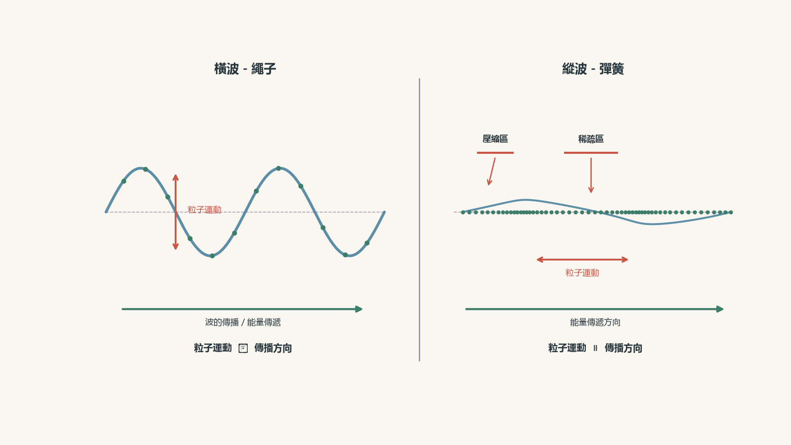 Side-by-side physics diagram comparing a transverse wave on a rope, with particles moving up and down perpendicular to wave propagation, and a longitudinal wave in a spring, with compressions and rarefactions and particles oscillating parallel to energy transfer.
