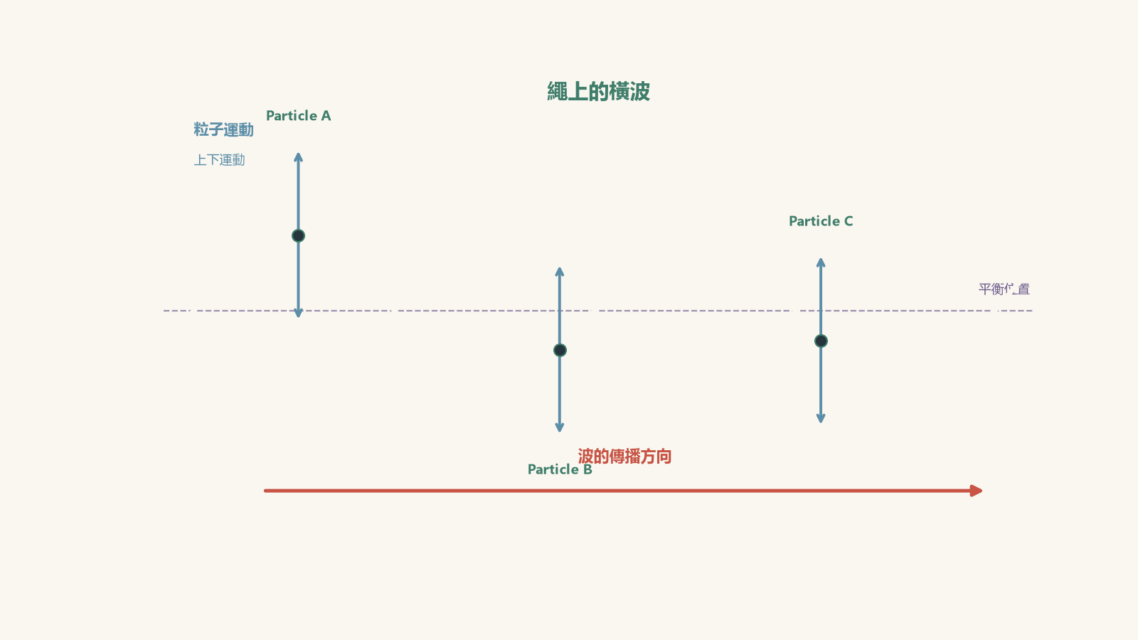 A transverse sinusoidal rope wave with three labelled particles at different horizontal positions. Each particle has a vertical double-headed arrow showing up-and-down particle motion, while a horizontal right-pointing arrow shows the wave propagating along the rope.