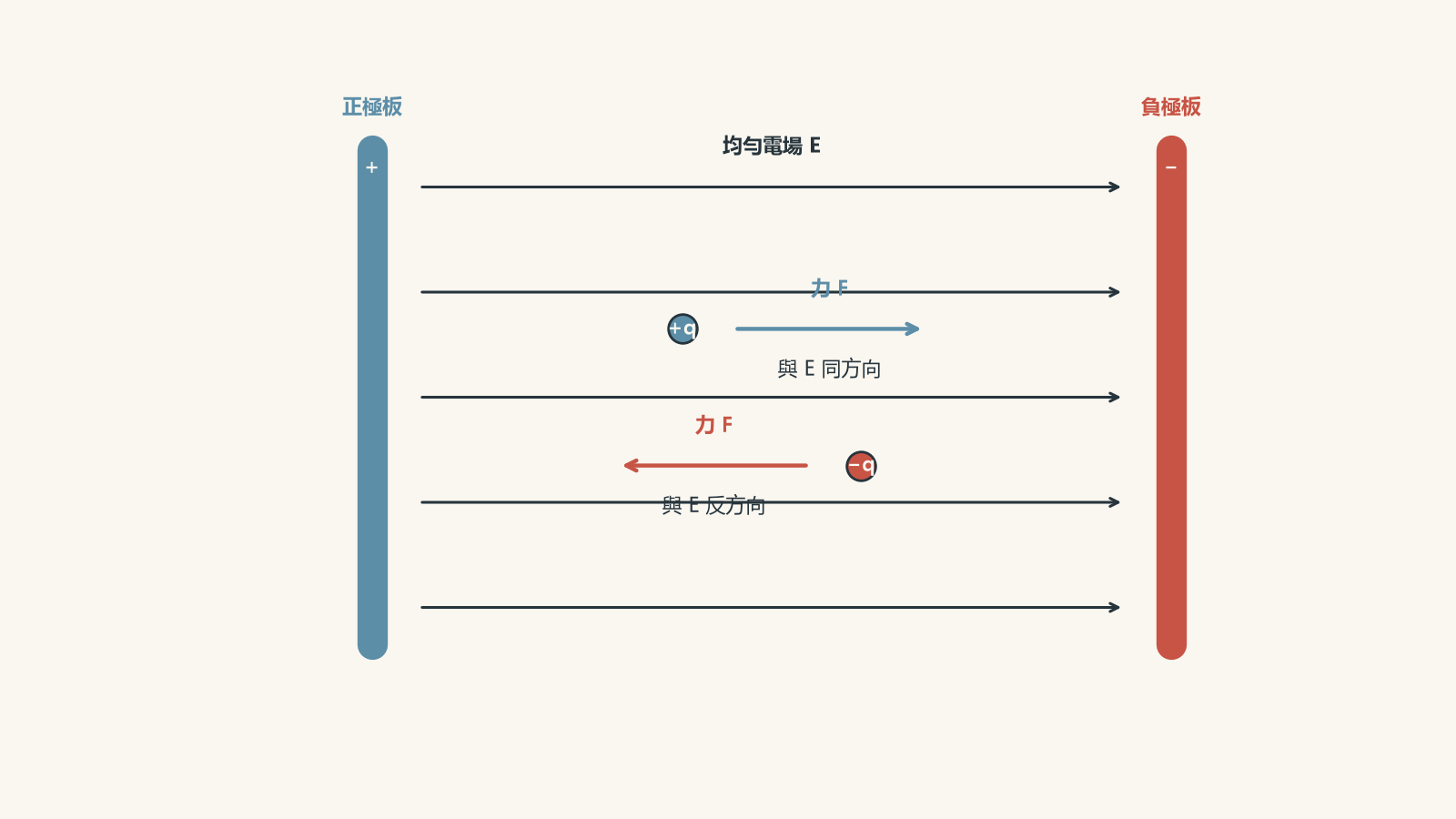 Parallel positive and negative plates create a uniform electric field directed from the positive plate to the negative plate. A positive test charge experiences force along the field, while a negative charge experiences force opposite the field.