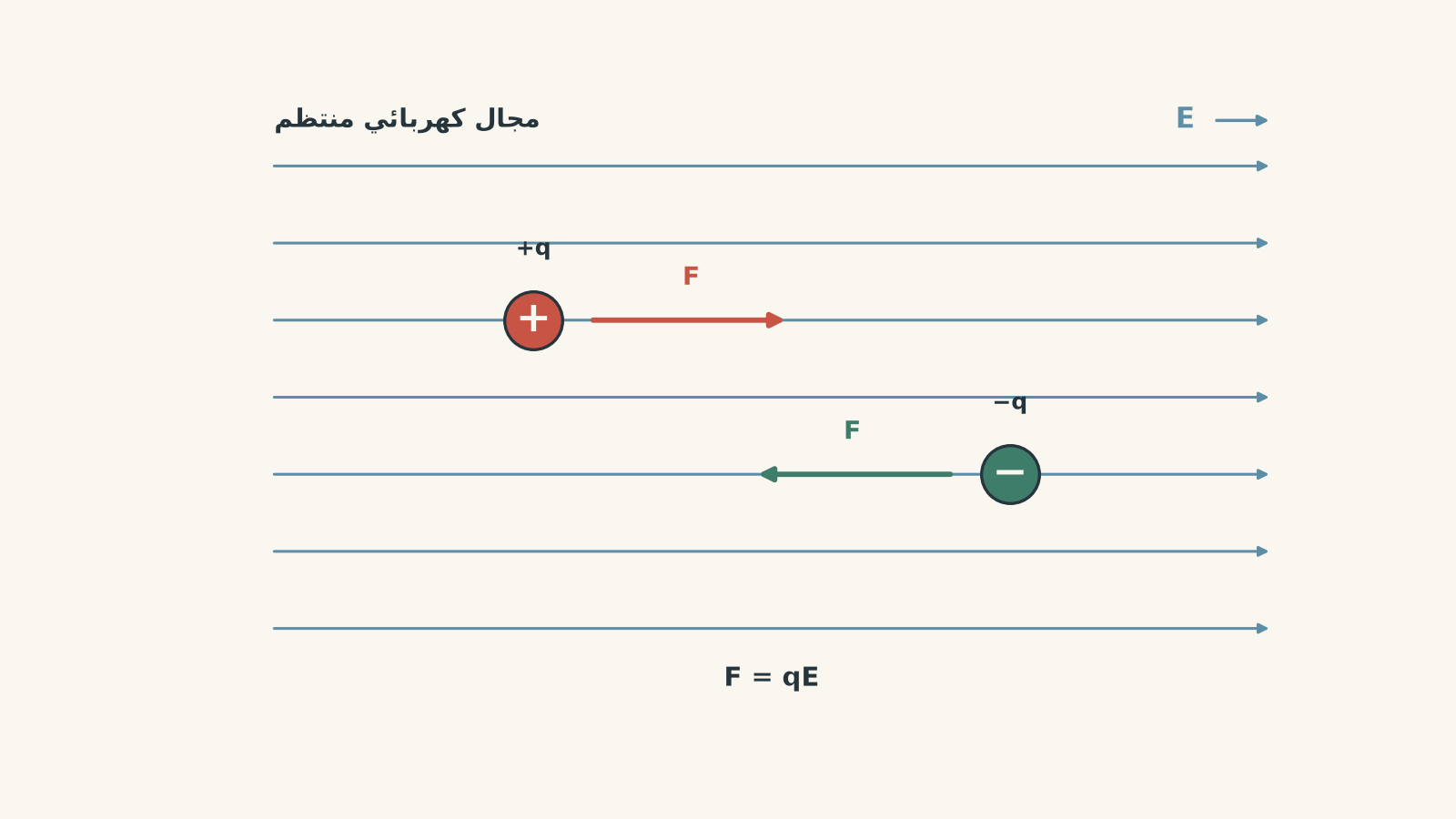 مجال كهربائي منتظم تُمثّله أسهم متوازية متجهة نحو اليمين. تؤثر في الشحنة الموجبة قوة نحو اليمين، بينما تؤثر في الشحنة السالبة قوة نحو اليسار.