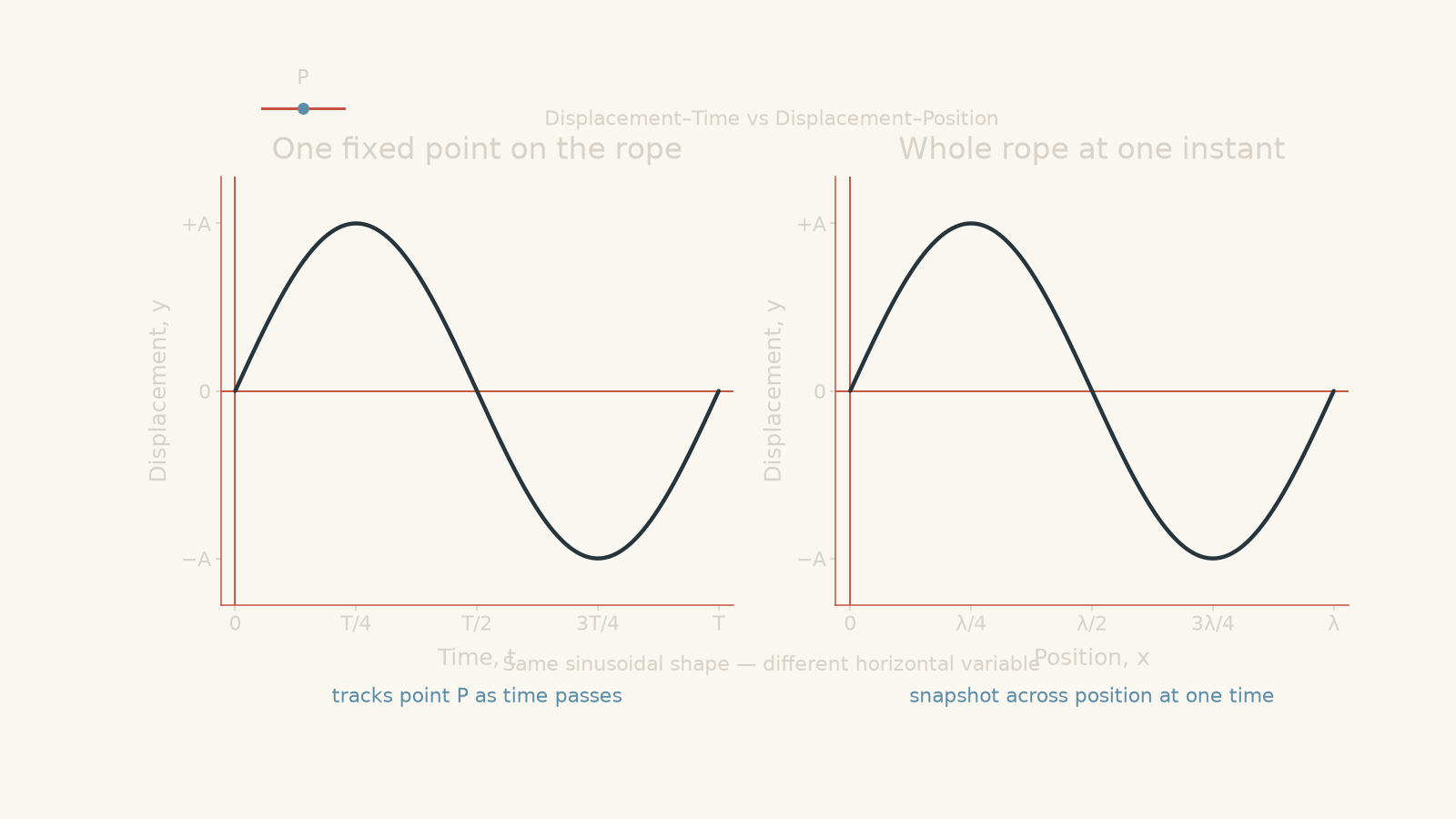 Side-by-side sinusoidal graphs with the same shape: displacement y versus time t for one fixed rope point P, and displacement y versus position x for a snapshot of the whole rope.