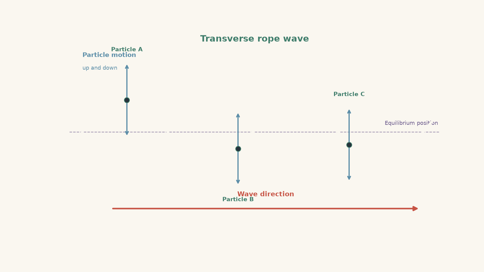 A transverse sinusoidal rope wave with three labelled particles at different horizontal positions. Each particle has a vertical double-headed arrow showing up-and-down particle motion, while a horizontal right-pointing arrow shows the wave propagating along the rope.