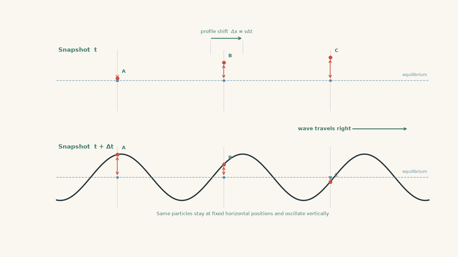 Two time snapshots of a transverse progressive wave. The later wave profile is shifted to the right, while particles A, B and C remain at fixed horizontal equilibrium positions and move vertically.