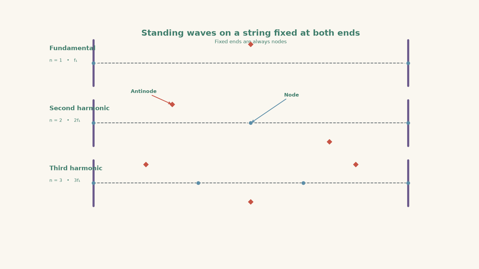 Three stacked standing-wave diagrams for a string fixed at both ends: the fundamental has one loop, the second harmonic has two loops, and the third harmonic has three loops. Nodes are marked at fixed and internal zero-displacement points, and antinodes are marked at maximum-displacement points.