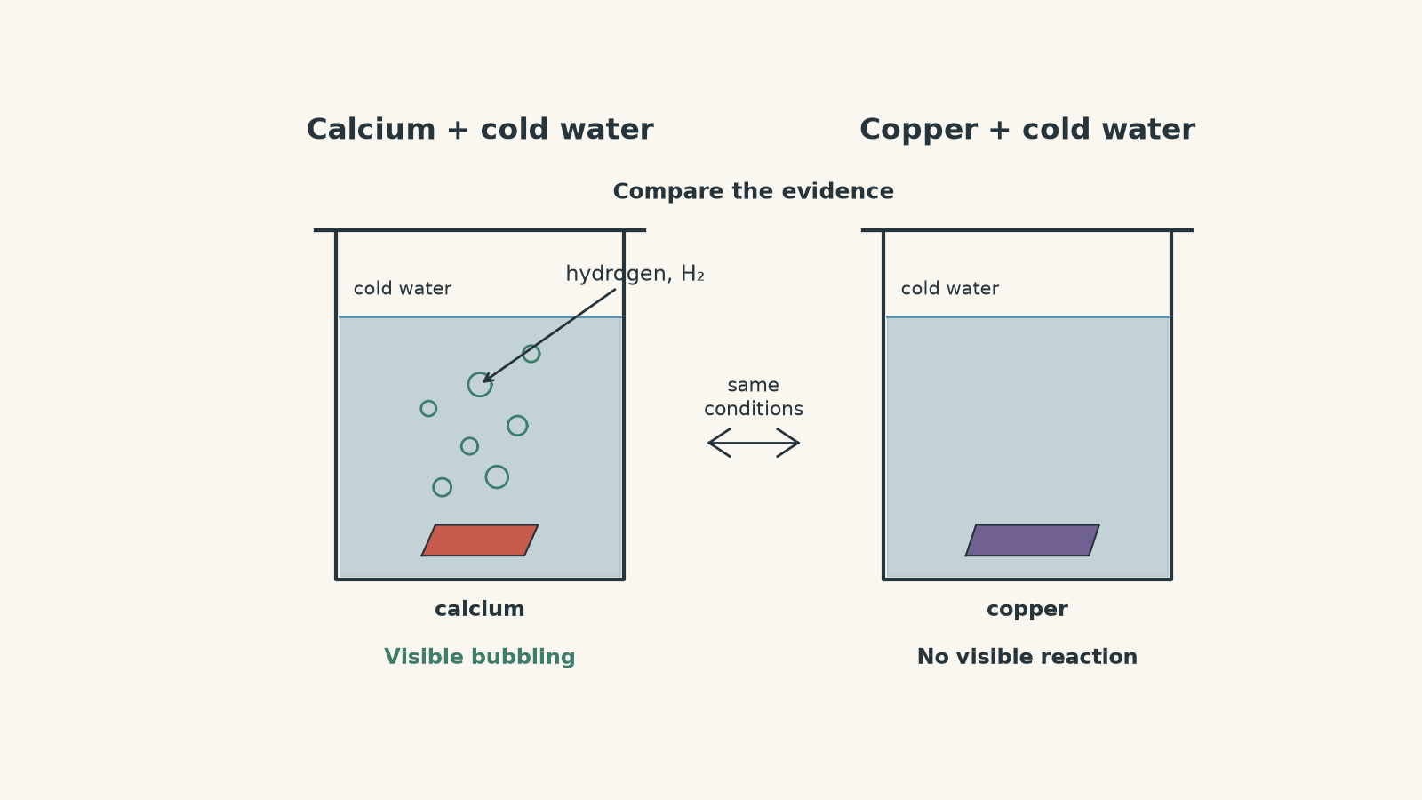 Side-by-side beakers showing calcium producing hydrogen bubbles in cold water while copper shows no visible reaction.