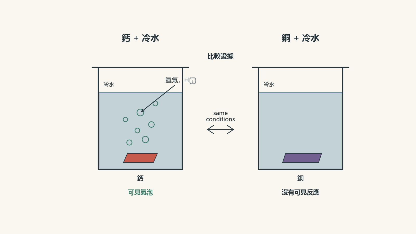 并排的烧杯显示钙在冷水中产生氢气泡，而铜没有可见反应。