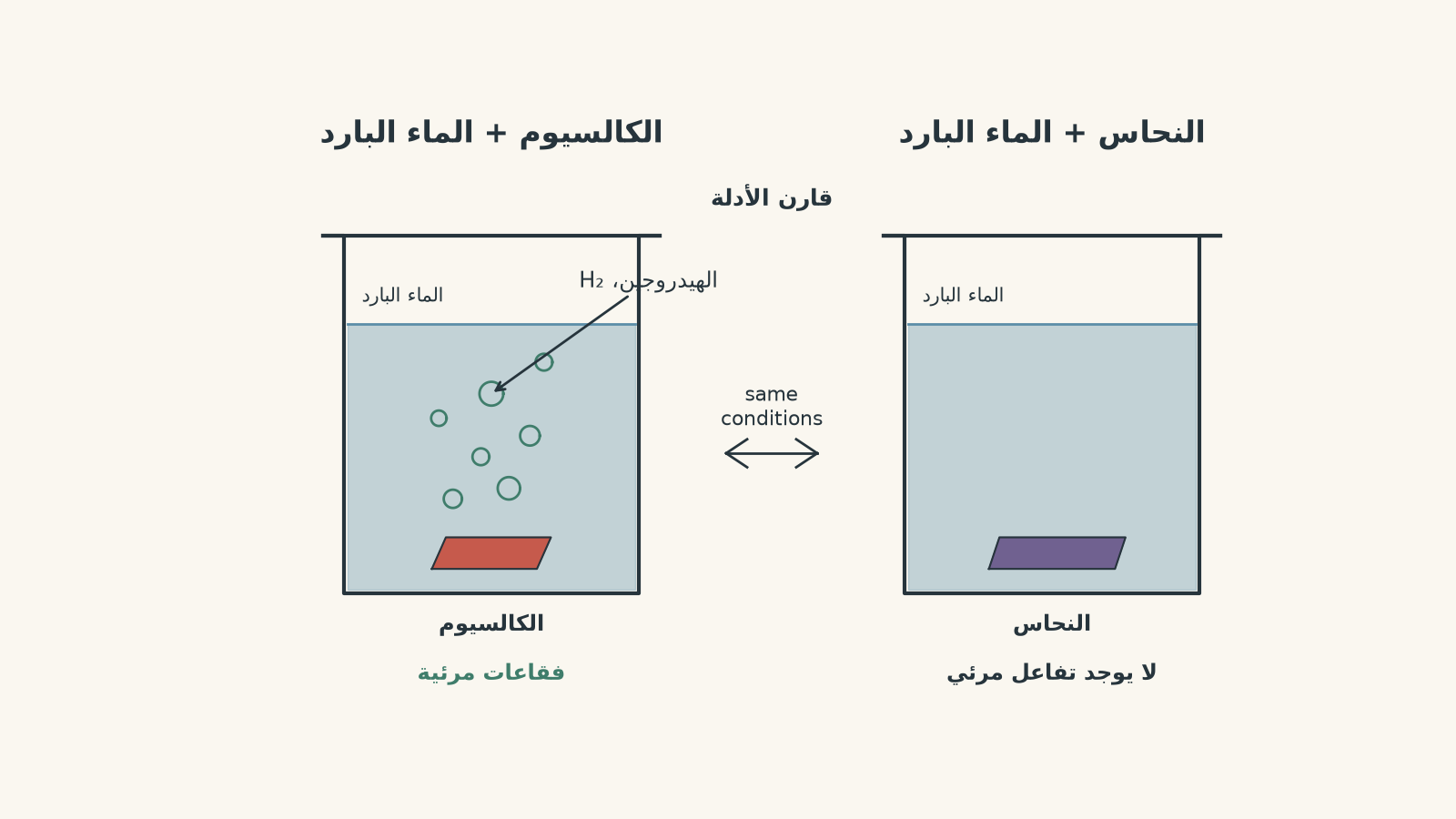 كأسان متجاوران يوضّحان أن الكالسيوم يُنتج فقاعات الهيدروجين في الماء البارد، بينما لا يُظهر النحاس تفاعلًا مرئيًا.
