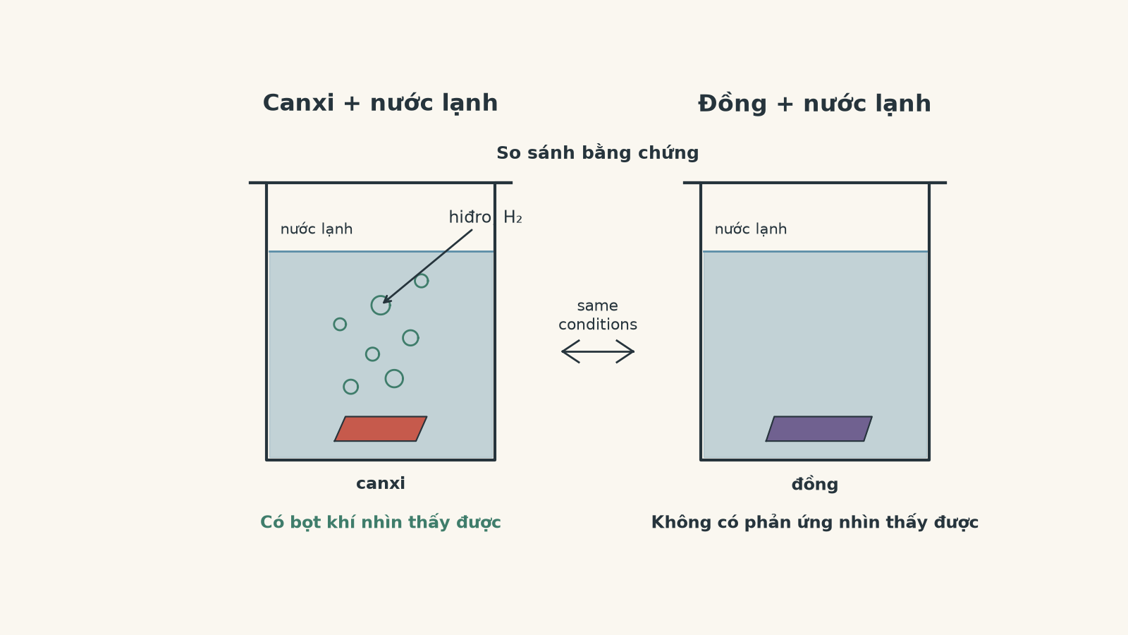 Hai cốc đặt cạnh nhau cho thấy canxi tạo bọt khí hiđro trong nước lạnh, trong khi đồng không có phản ứng nhìn thấy được.