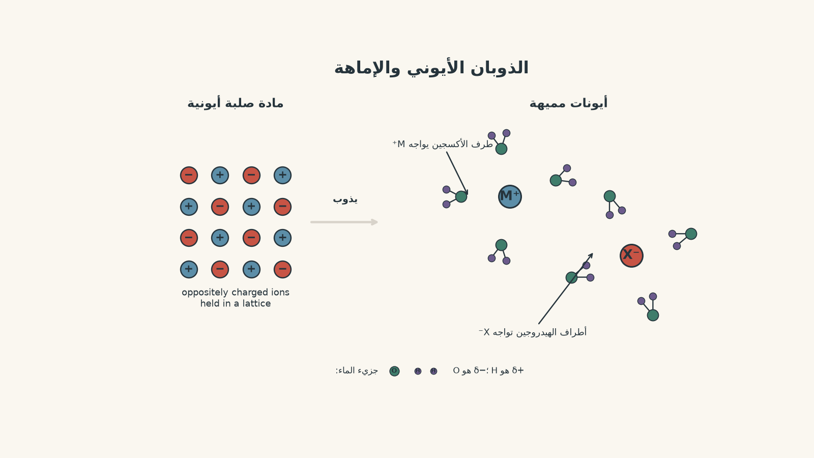 رسم تخطيطي يوضح انفصال مادة صلبة أيونية إلى أيونات موجبة وسالبة في الماء، حيث تتجه أطراف الأكسجين في جزيئات الماء نحو الأيون الموجب، وتتجه أطراف الهيدروجين نحو الأيون السالب.