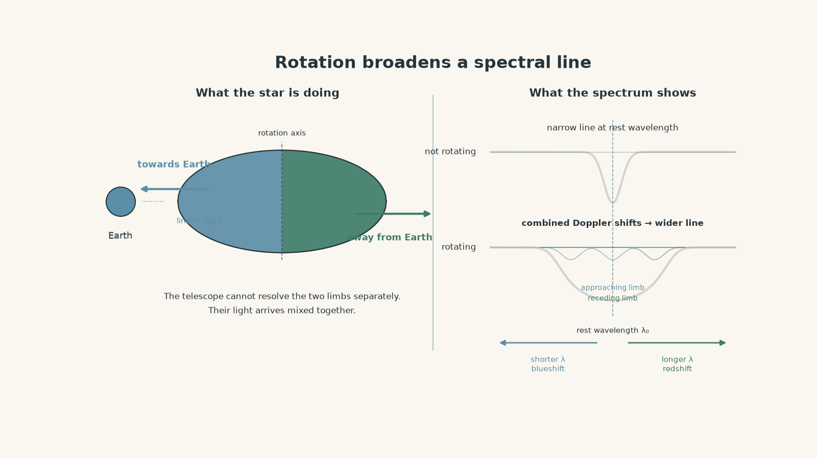 Diagram of a rotating unresolved star showing one limb moving towards Earth and the opposite limb moving away, with a narrow rest spectral line compared with a broader line produced by combined Doppler shifts.
