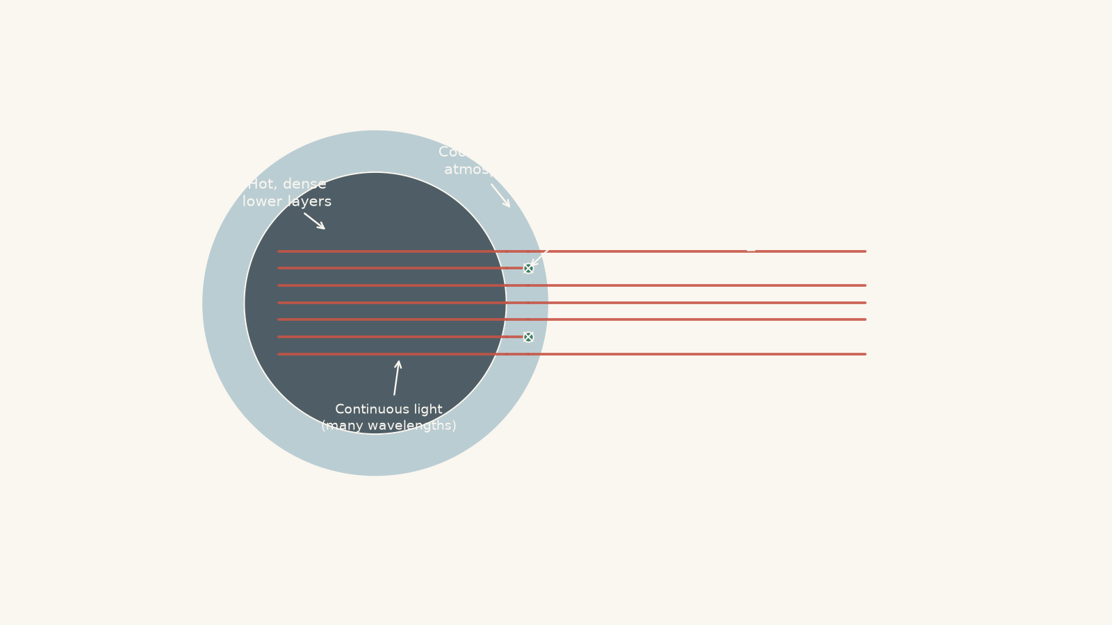 Cross-section of a star showing continuous light from hot dense layers passing through a cooler atmosphere, where selected wavelengths are absorbed while other wavelengths continue to an observer.
